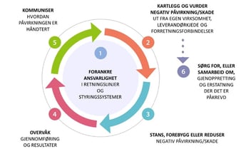 Åpenhetsloven oppsummert  - hva, hvorfor og hvordan