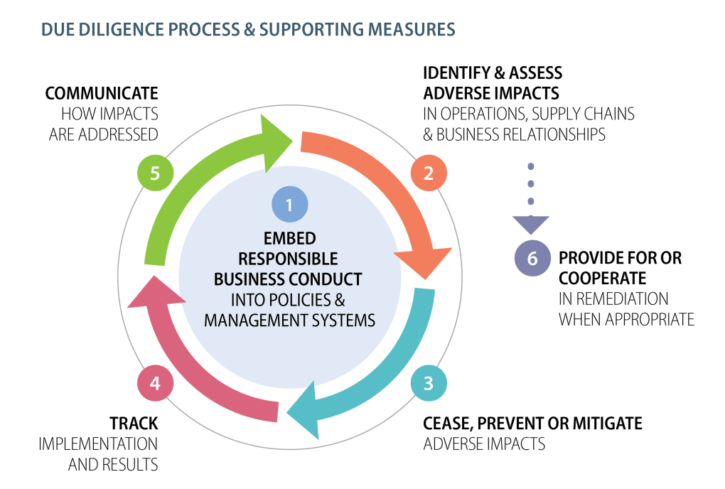 Due-diligence-process-and-supporting-measures_mx1qfm