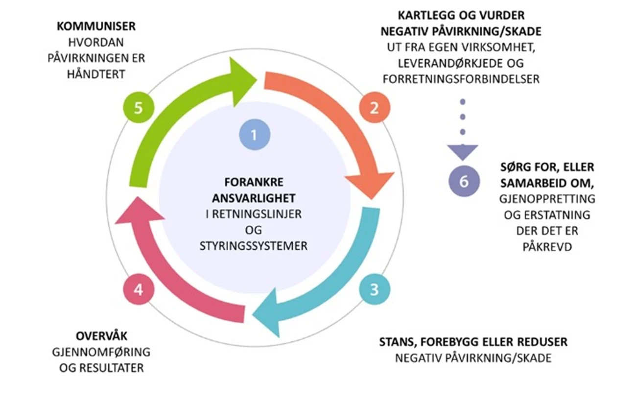 Åpenhetsloven oppsummert  - hva, hvorfor og hvordan