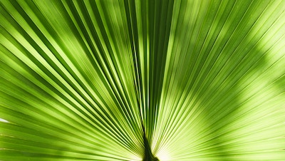 valentin-farkasch-8S9FuVps134-unsplash